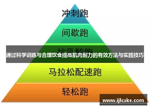 通过科学训练与合理饮食提高肌肉耐力的有效方法与实践技巧