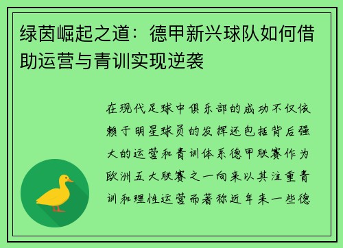 绿茵崛起之道：德甲新兴球队如何借助运营与青训实现逆袭
